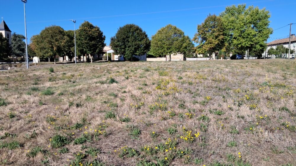 vente Terrain - 2000 m² Fontaines-d'Ozillac (17500)