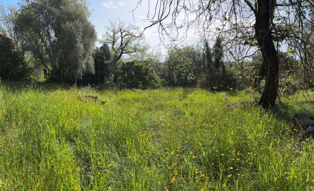 vente Maison - 4 pièce(s) - 100 m² La Gaude (06610)
