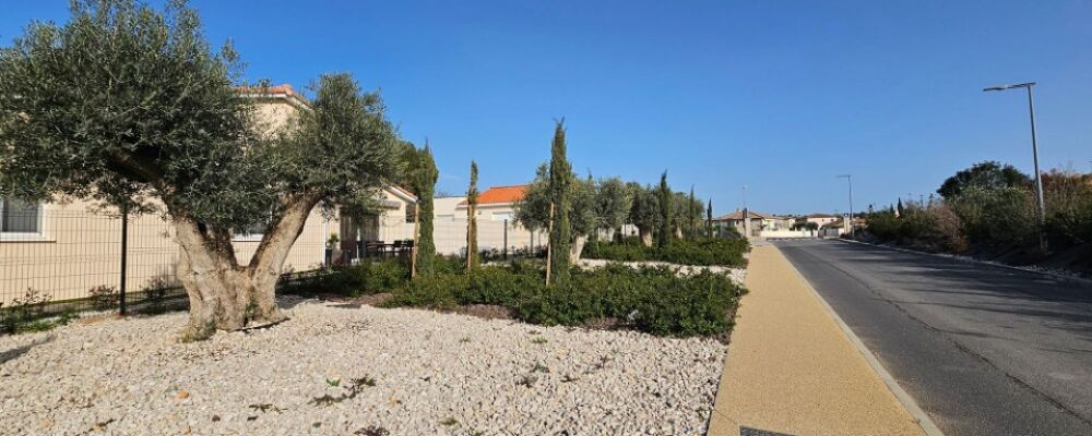 vente Terrain - 219 m² Montagnac (34530)