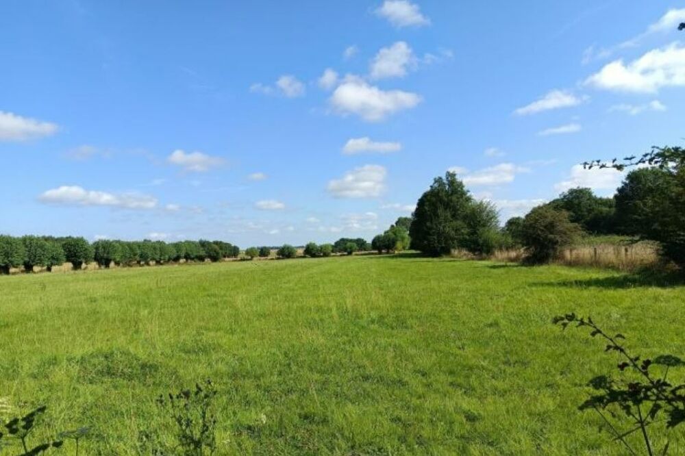 MAISON À CONSTRUIRE DE 105 M² À TROUVILLE-LA-HAULE, 5 PI....