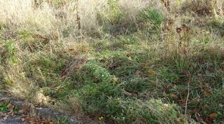  Terrain 1340 m� Farschviller