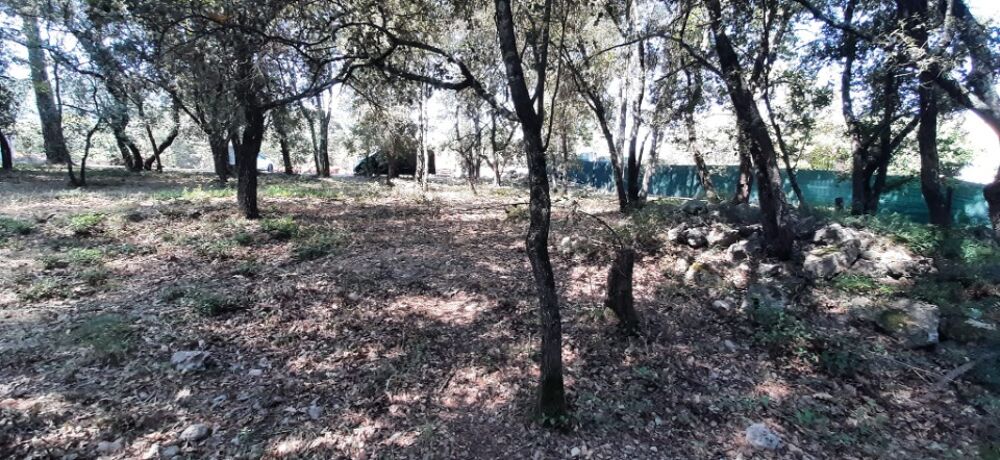 vente Terrain - 732 m² Le Thoronet (83340)