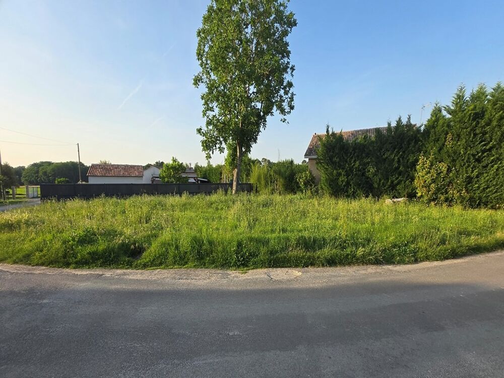 vente Terrain - 587 m² Peujard (33240)