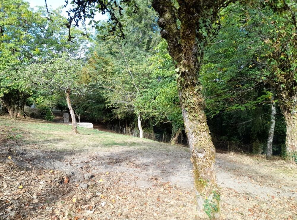 vente Maison - 3 pièce(s) - 90 m² Bonnac-la-Côte (87270)