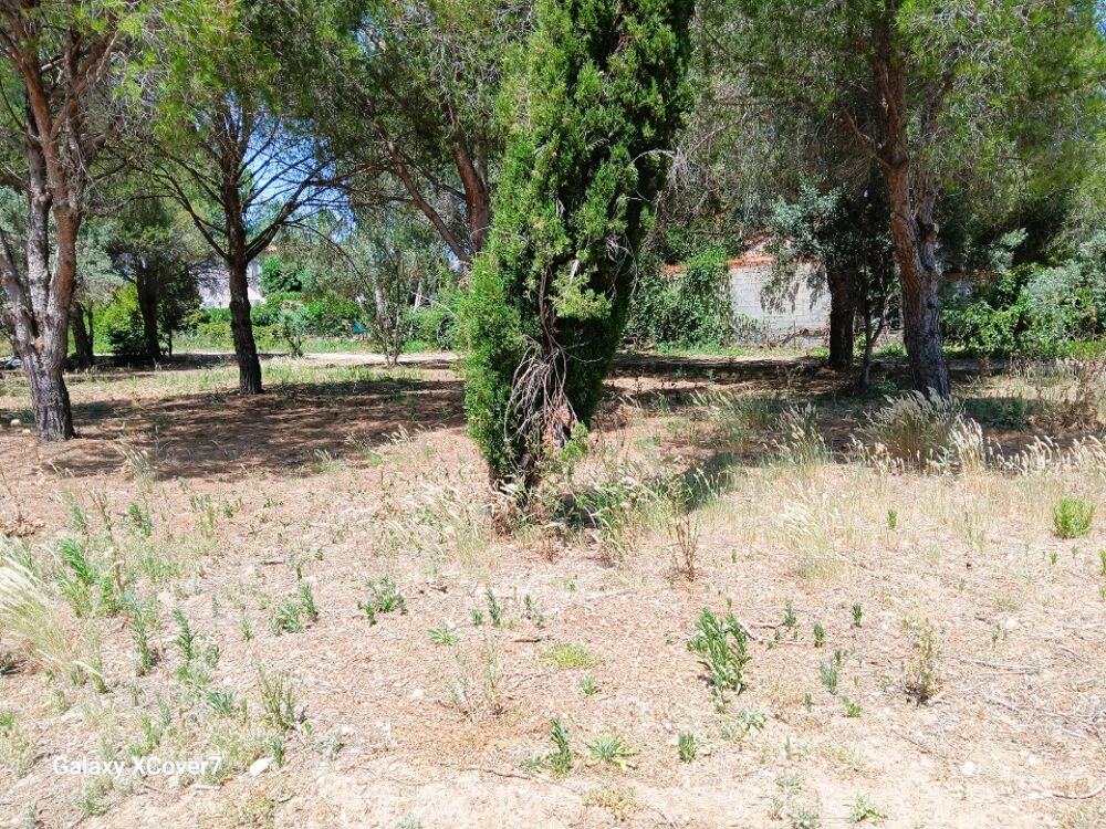 vente Terrain - 860 m² Perpignan (66000)