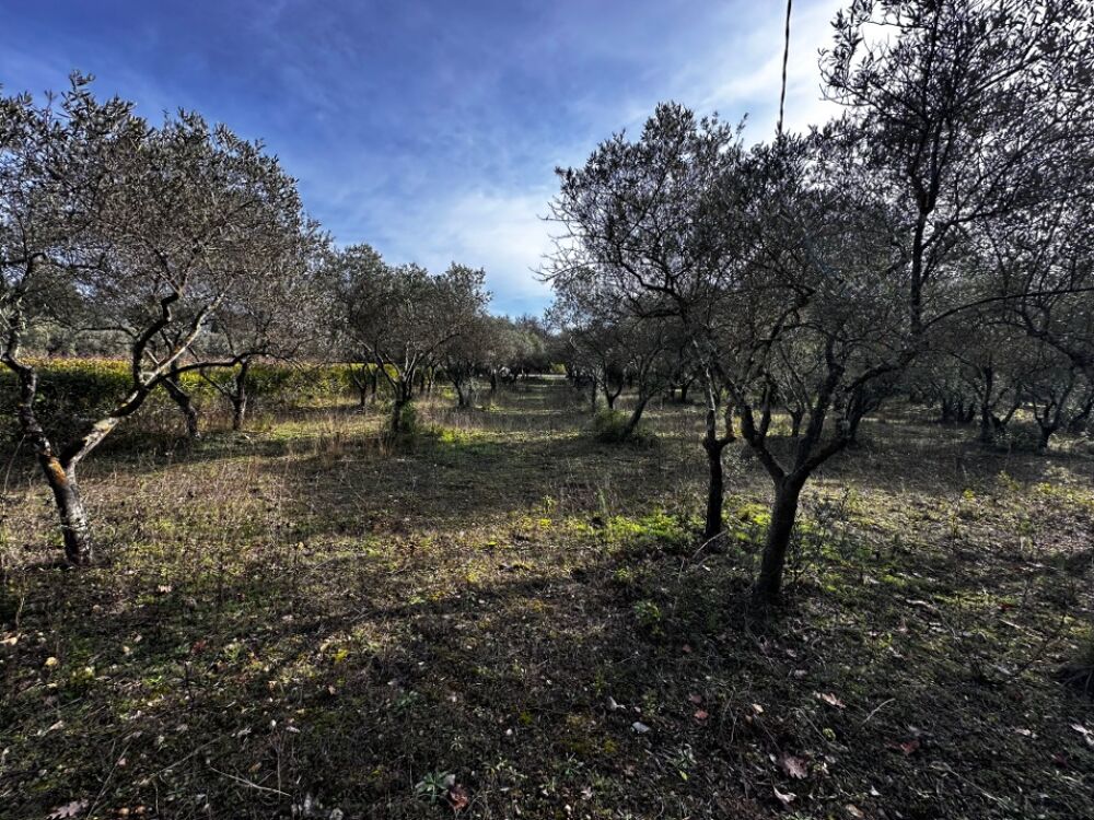 vente Maison - 7 pièce(s) - 145 m² Lorgues (83510)