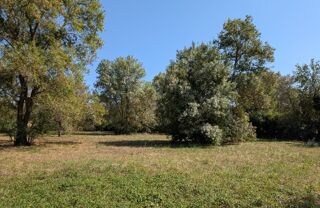  Terrain 1168 m� Ch�teauneuf-grasse