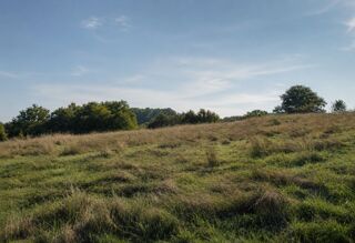  Terrain à vendre 850 m²