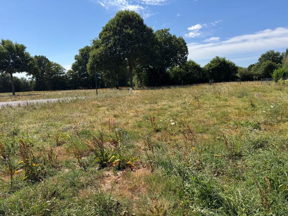 vente Maison - 5 pièce(s) - 90 m² Laubrières (53540)