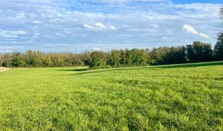  Terrain � vendre 970 m�