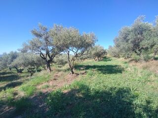  Terrain à vendre 2504 m²