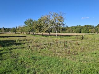  Terrain � vendre 1000 m�