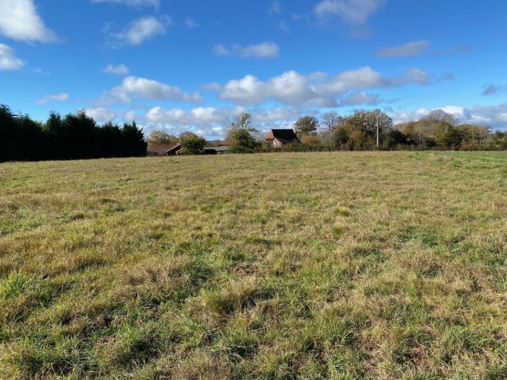 vente Terrain - 1846 m² Roannes-Saint-Mary (15220)