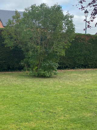  Terrain � vendre 210 m�