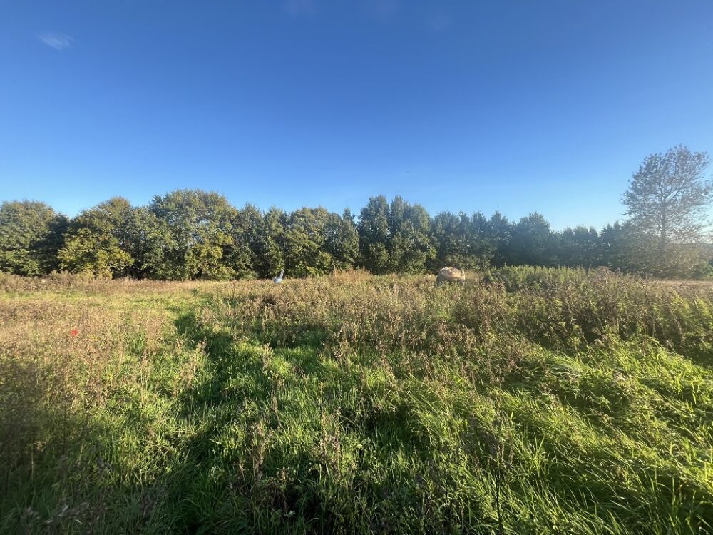 vente Terrain - 1118 m² Saint-Martin-aux-Buneaux (76450)