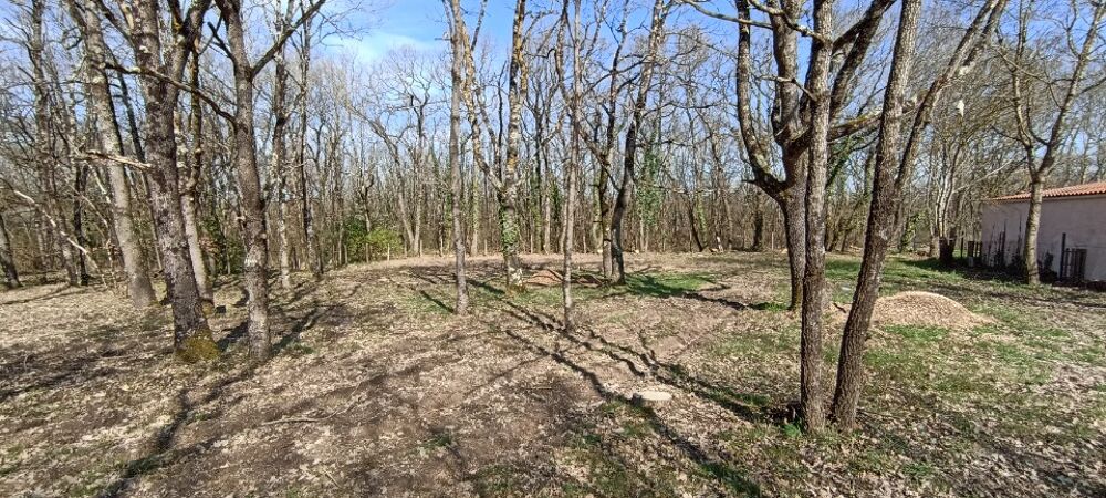 vente Terrain - 1180 m² Montaigut-sur-Save (31530)