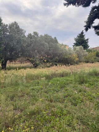  Terrain � vendre 1158 m�