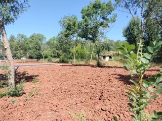  Maison 3 pi�ces 80 m� Le luc