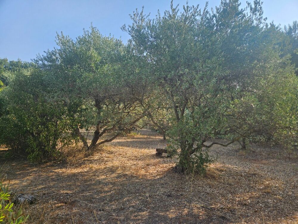 vente Maison - 5 pièce(s) - 76 m² Les Pennes-Mirabeau (13170)