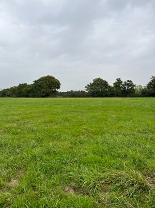  Terrain à vendre 424 m²