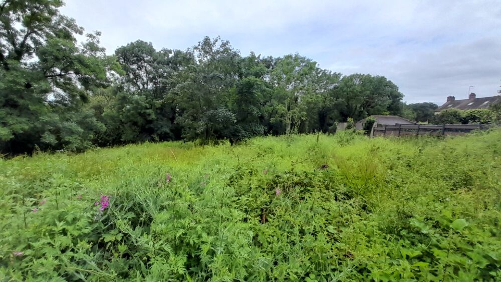 EXCLUSIVITE : SUPERBE TERRAIN DE 1182 M2 AVEC 29 M DE FA....