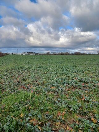  Terrain 289 m� La garnache