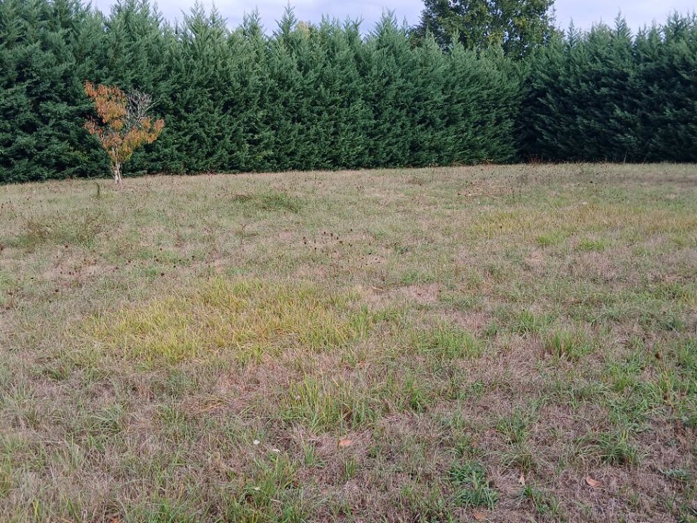 vente Terrain - 2450 m² Lisle (24350)