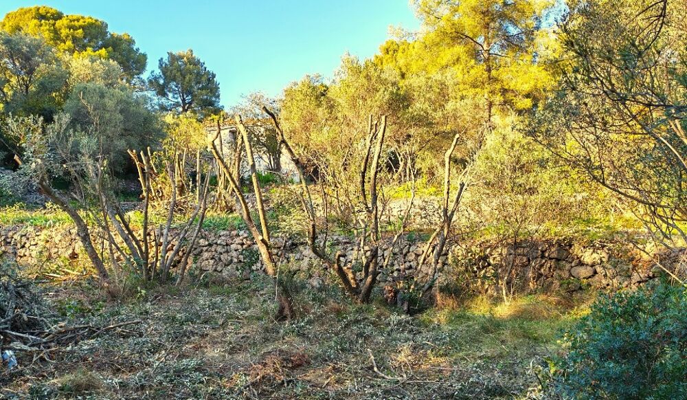 vente Terrain - 442 m² Toulon (83000)
