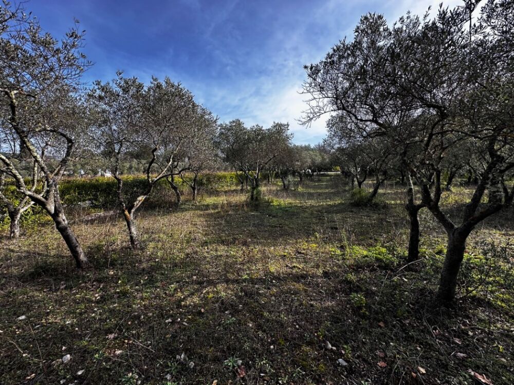 vente Maison - 7 pièce(s) - 145 m² Lorgues (83510)