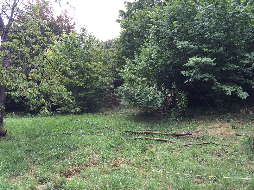 VENTE : maison de 5 pièces (138 m²) à Fourqueux Pari....