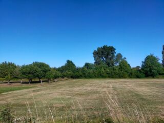  Terrain à vendre 1250 m²
