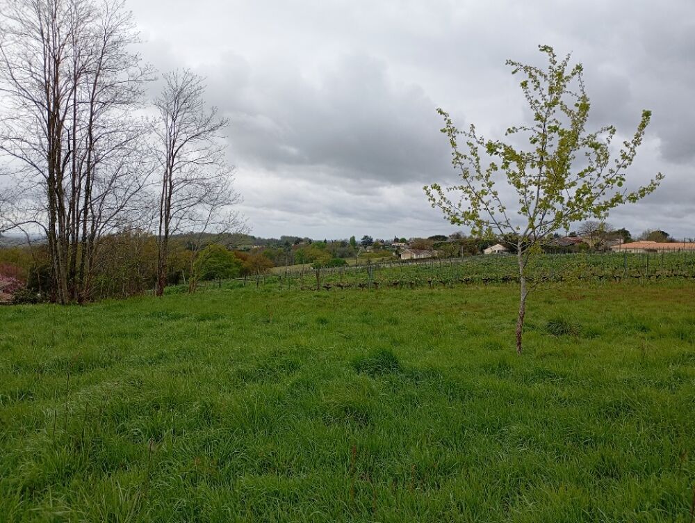 vente Terrain - 5400 m² Langoiran (33550)