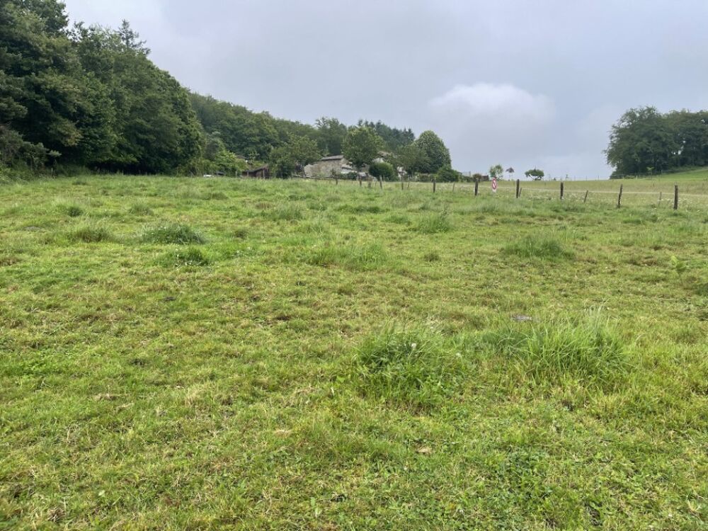 vente Terrain - 15000 m² Razès (87640)