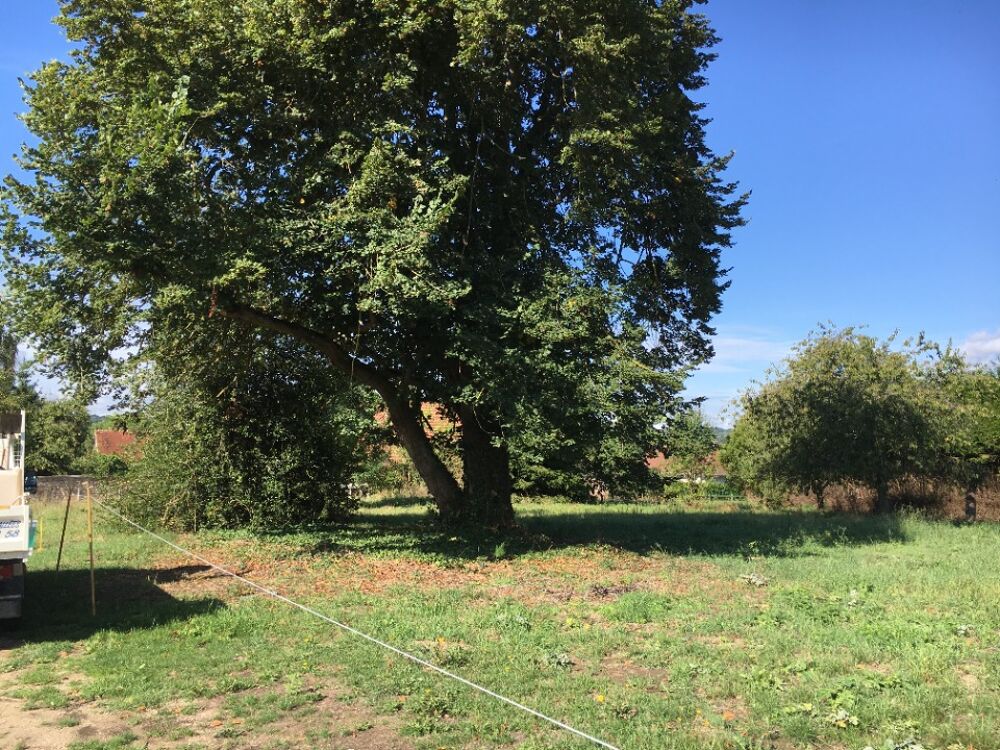 vente Terrain - 700 m² Jouars-Pontchartrain (78760)