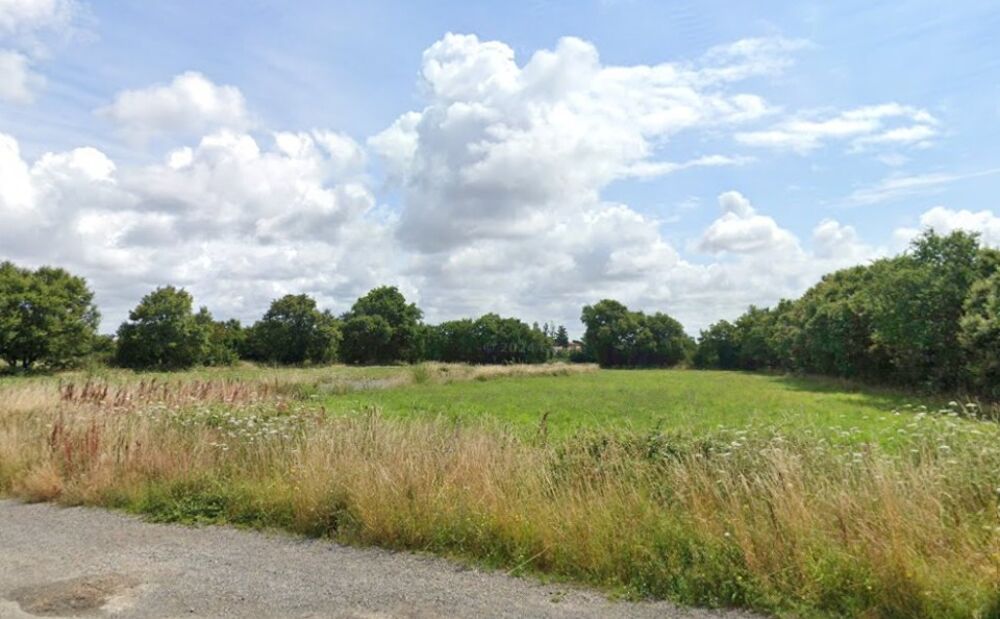 vente Terrain - 1291 m² Angles (85750)
