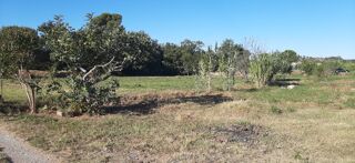  Terrain � vendre 499 m�