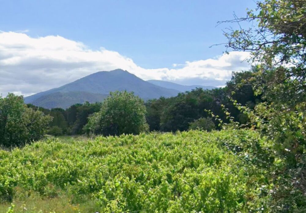 vente Terrain - 715 m² Saint-Jean-Pla-de-Corts (66490)
