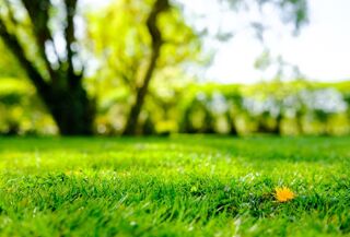  Terrain � vendre 500 m�