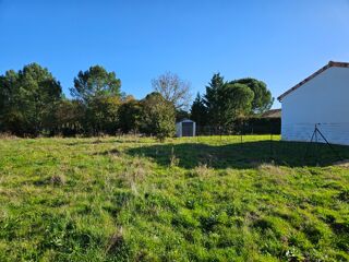  Maison 3 pi�ces 50 m� Muret