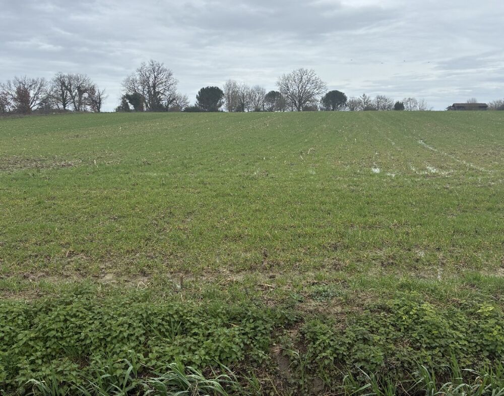 À seulement 15 minutes de Bazas, dans un environnement c....