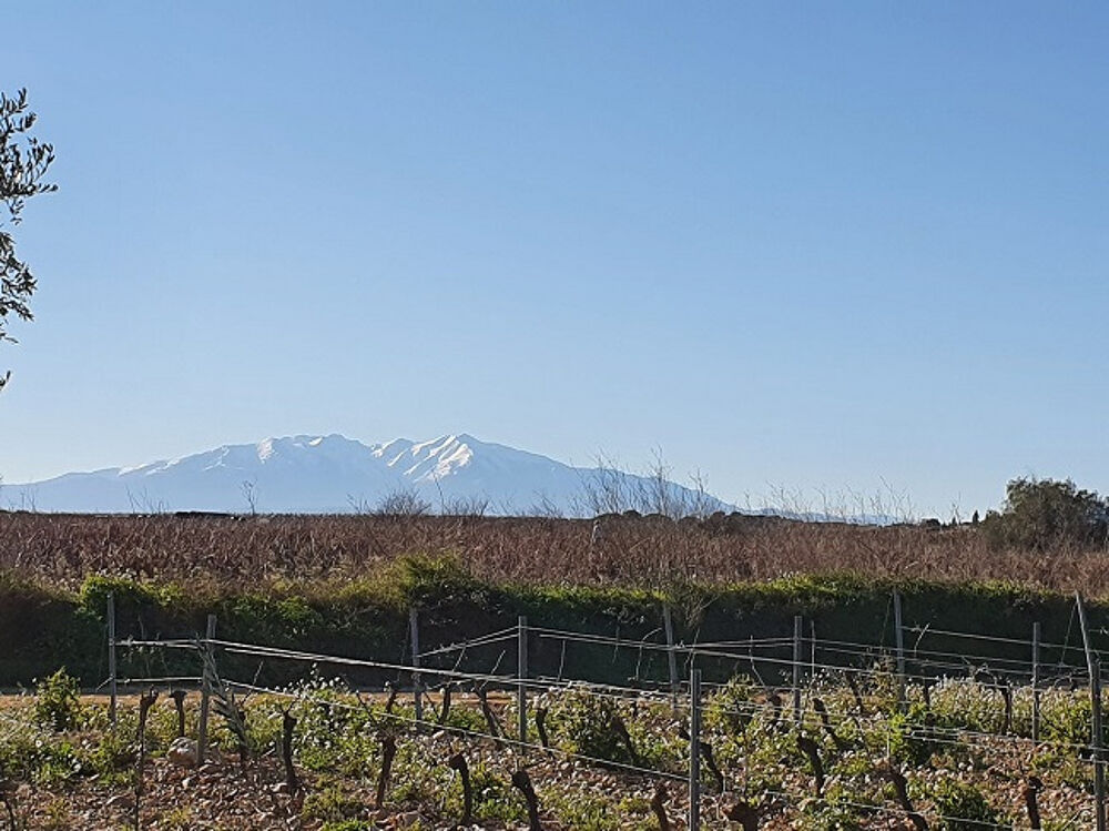 vente Terrain - 560 m² Perpignan (66000)