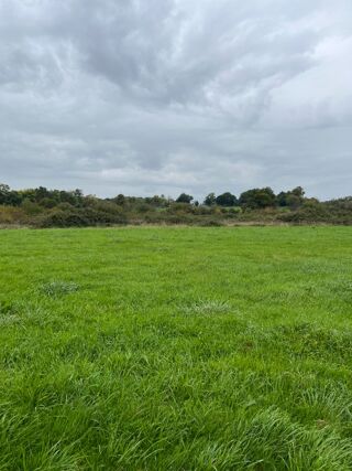  Terrain 447 m� Saint-germain-du-corb�is