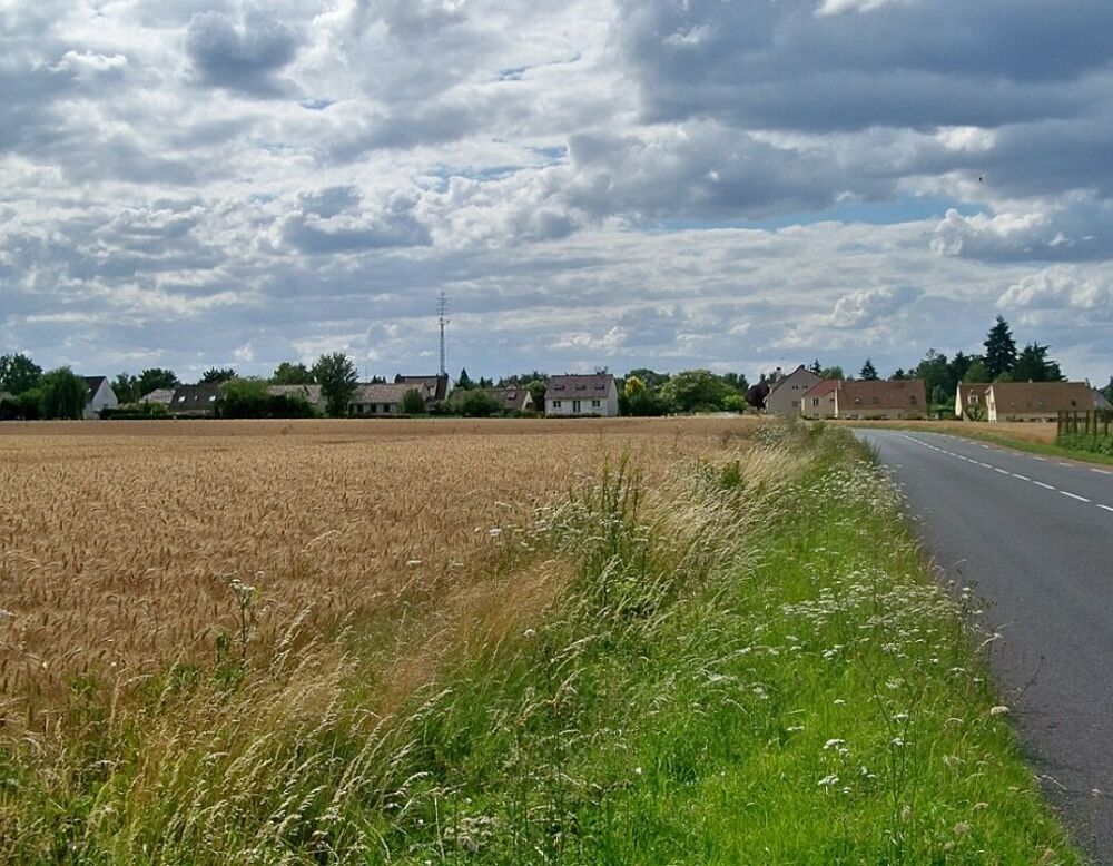 vente Terrain - 541 m² Pecqueuse (91470)