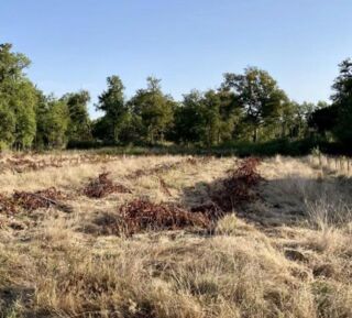  Terrain � vendre 550 m�