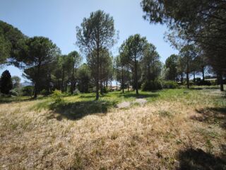 vente Terrain - 614 m² Roquebrune-sur-Argens (83520)