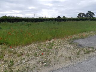  Terrain � vendre 418 m�