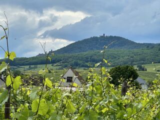  Maison 5 pices 185 m Bergheim