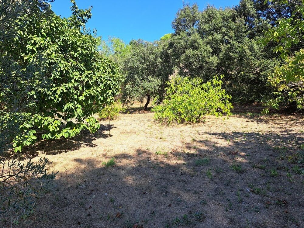 vente Maison - 6 pièce(s) - 120 m² Cabriès (13480)