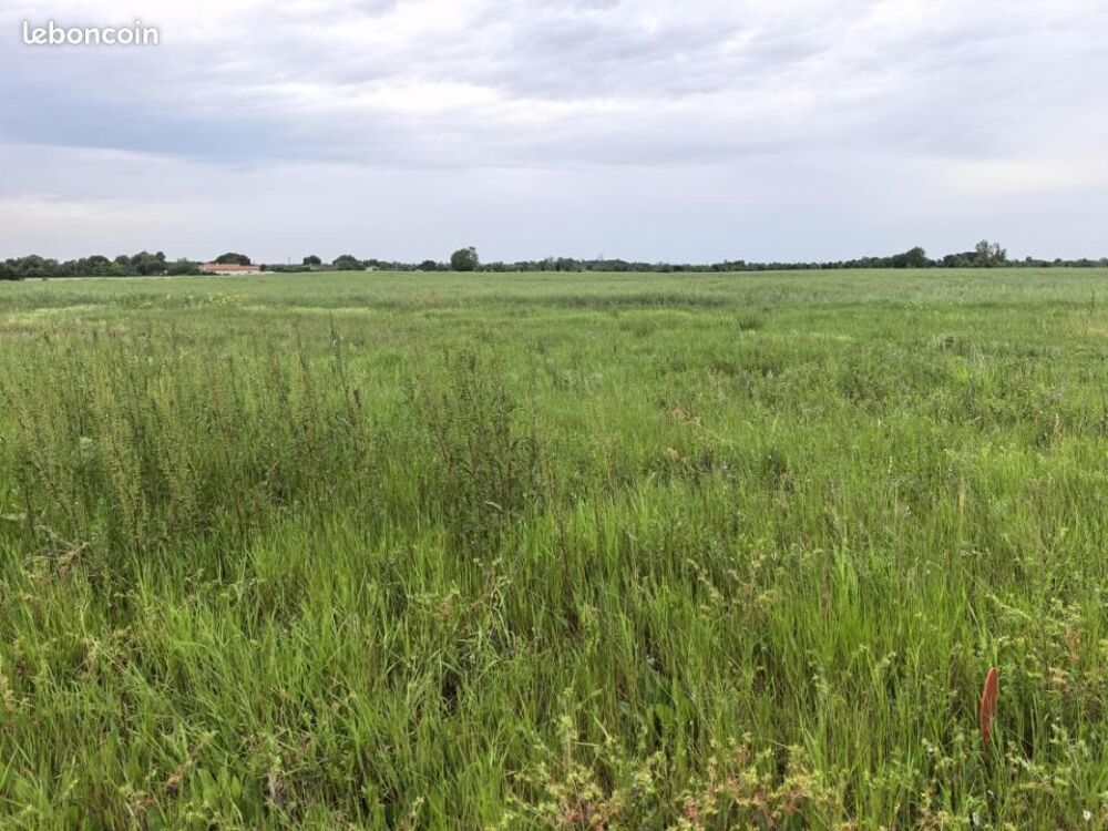 vente Maison - 7 pièce(s) - 158 m² Houquetot (76110)
