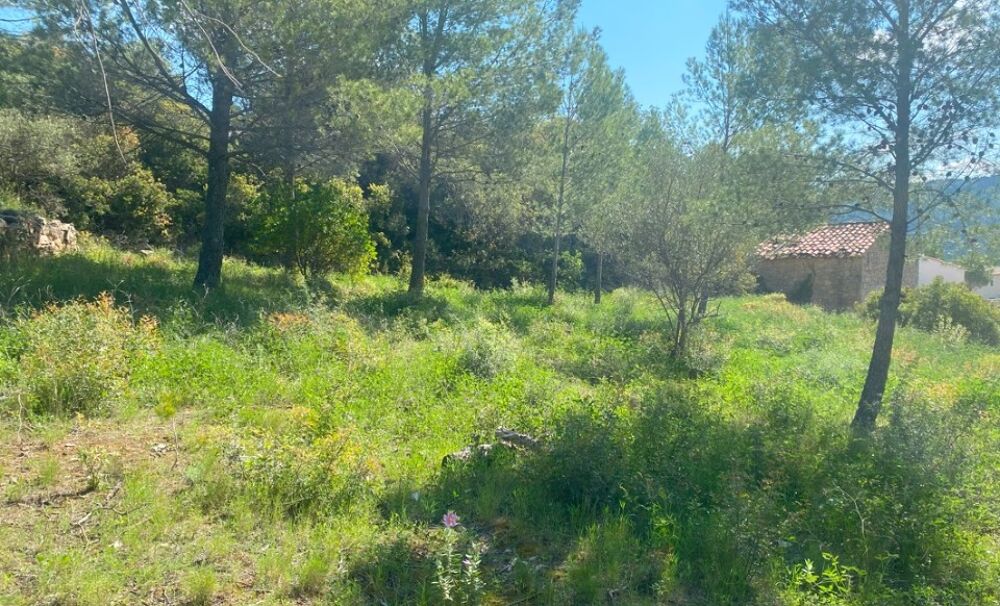 Bize-Minervois. Nous construisons votre projet sur m....